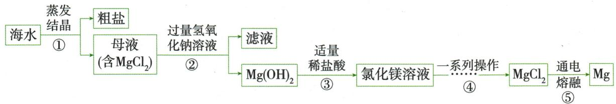 从海水母液到氢氧化镁氯化镁和镁的流程全图