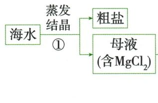 从海水母液到氢氧化镁氯化镁和镁的流程第1段，按原图从左到右