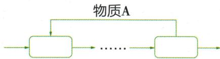 物质A通过回头线返回前端的模型
