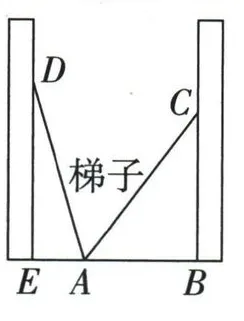 两面竖墙之间底端A固定的梯子,分别靠左墙D与右墙C