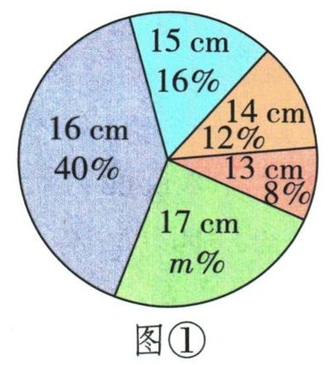 图①：各苗高占比，17厘米一类标m%