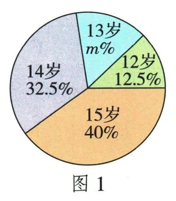 图1：12至15岁占比，13岁比例标m%
