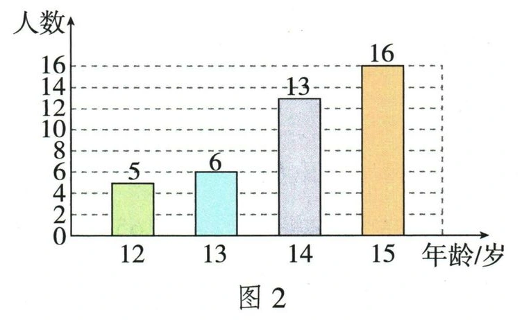 图2：12、13、14、15岁分别5、6、13、16人