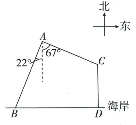 东西海岸线上的B、D与海中A、C的位置