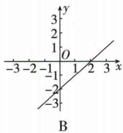 选项B