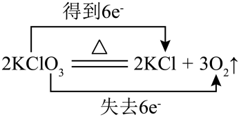 选项D