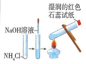 加入氢氧化钠并微热，用湿润红色石蕊试纸检验气体