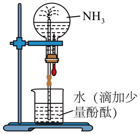 选项D原装置