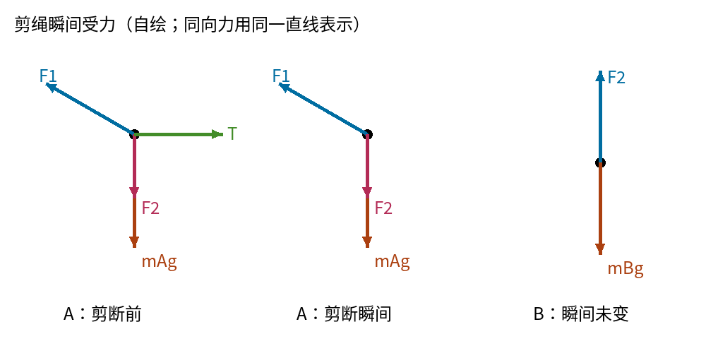 自绘剪绳前后受力:A剪前有右向T,剪后T消失,F1与向下F2、mAg瞬时保留;B的向上F2与向下mBg不变