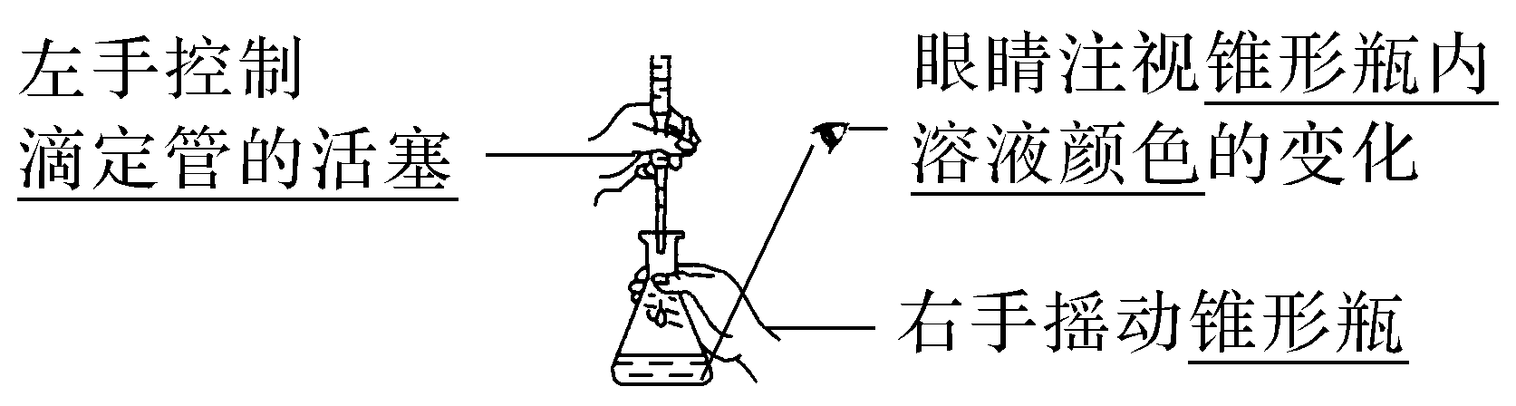 滴定时手部与视线的完整示意