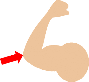 elbow