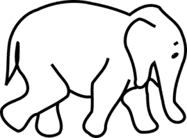 elephant