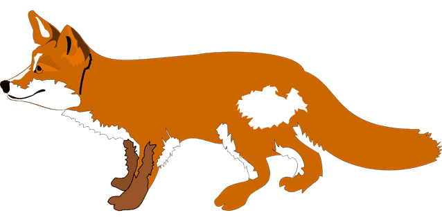 fox