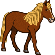 horse