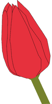 bud