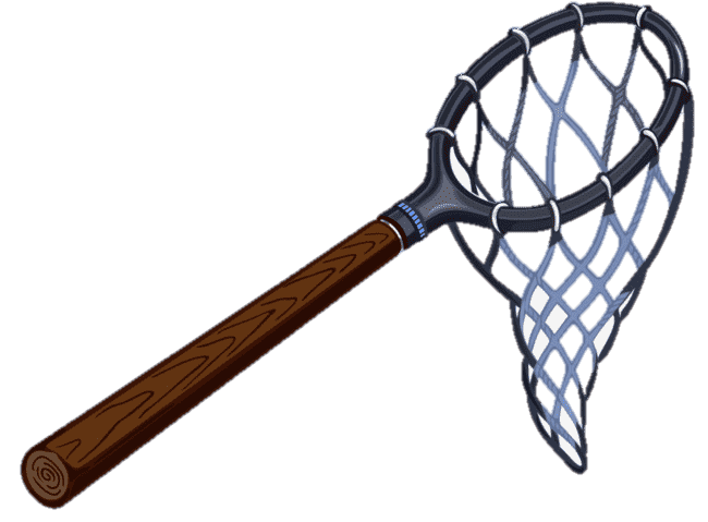 net