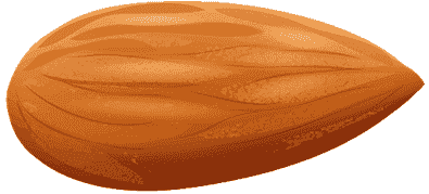 nut