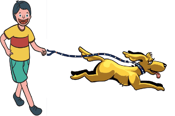 pet