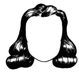 wig