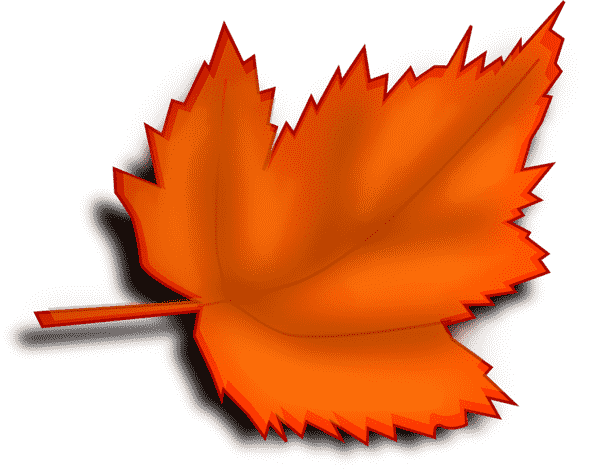 leaf