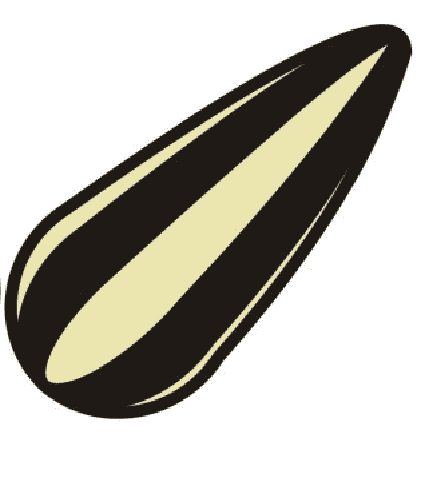 seed