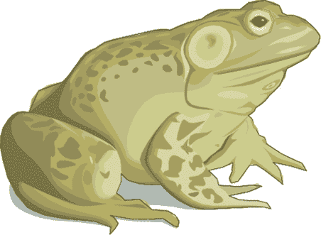 toad