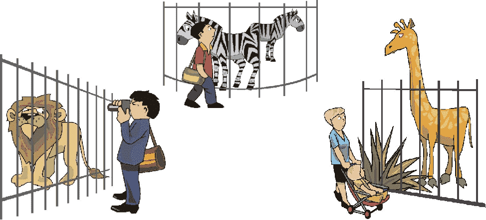 zoo