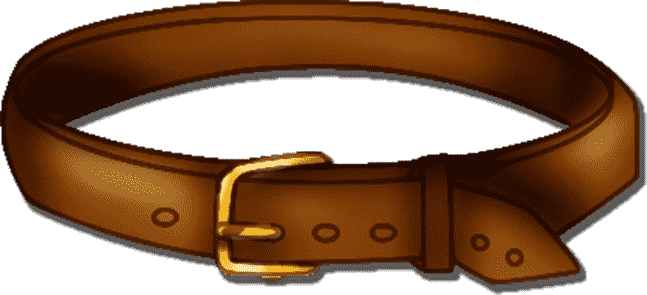 belt