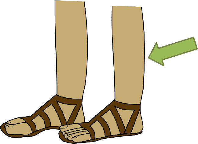 legs