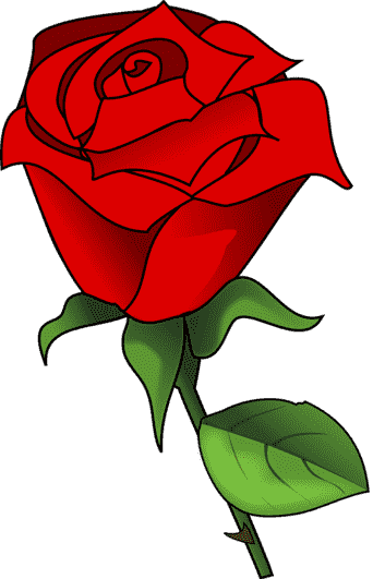 rose