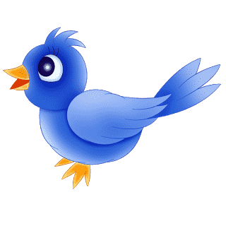 bird