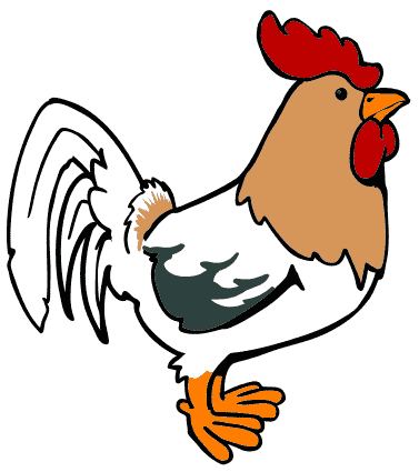 chicken