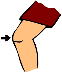 knee