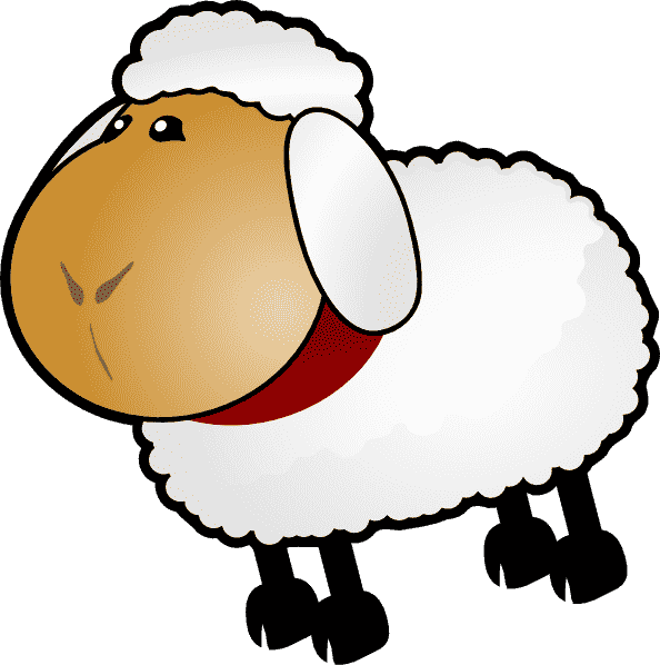 lamb