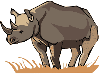 rhino